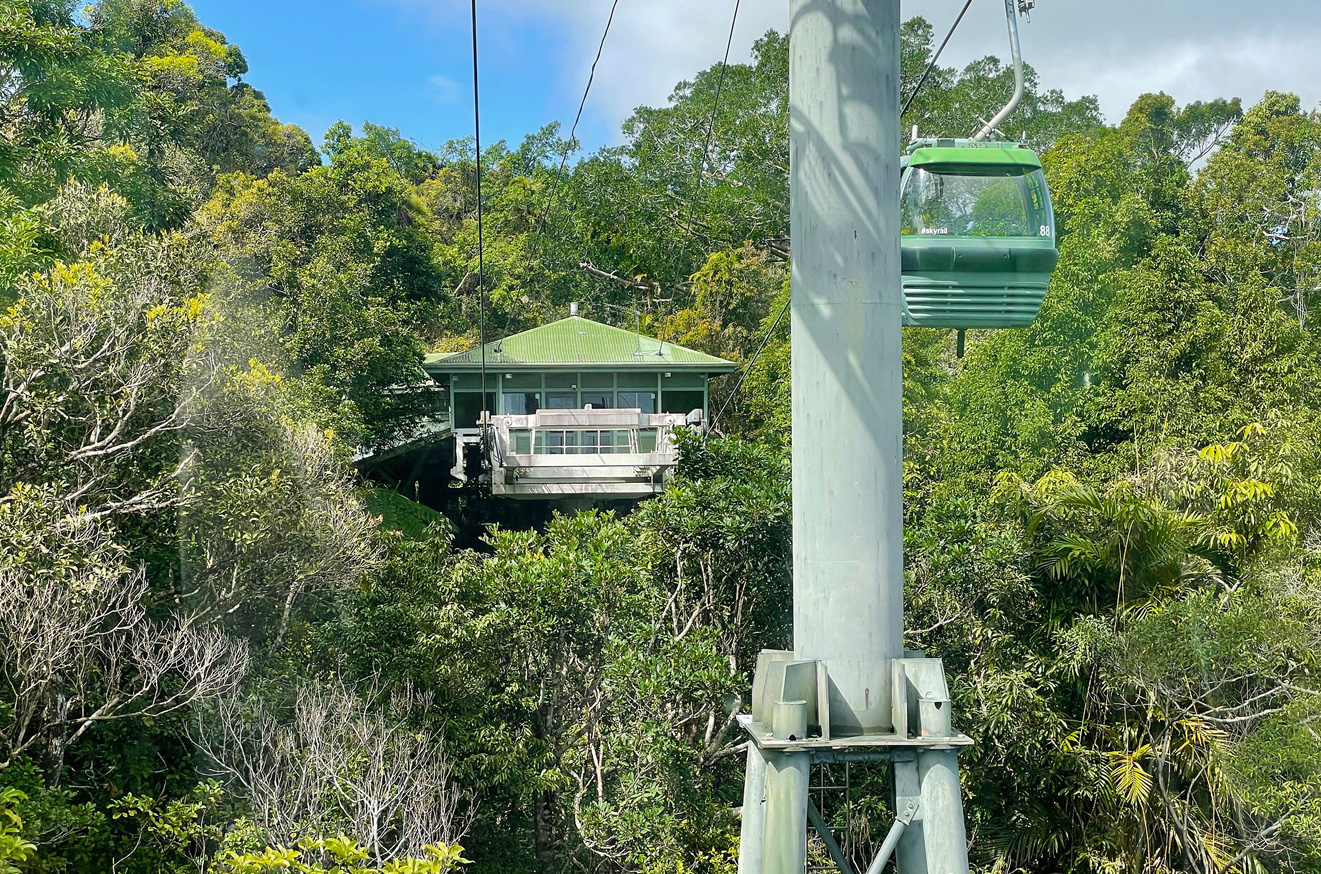 Rainforest Cableway